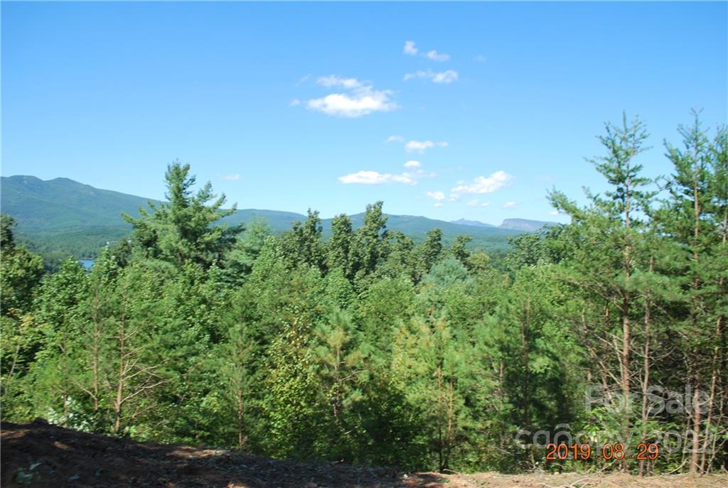 Lot at 675 Harborside Drive, Nebo, photo 3 of 29