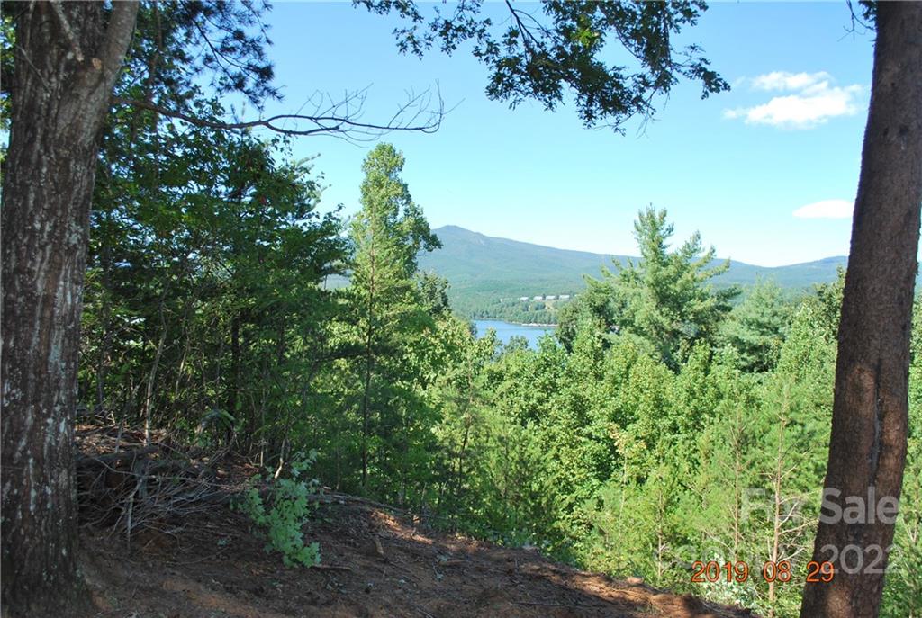 Lot at 675 Harborside Drive, Nebo, photo 4 of 29