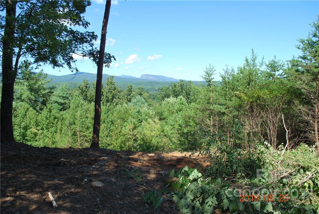Lot at 675 Harborside Drive, Nebo, photo 5 of 29
