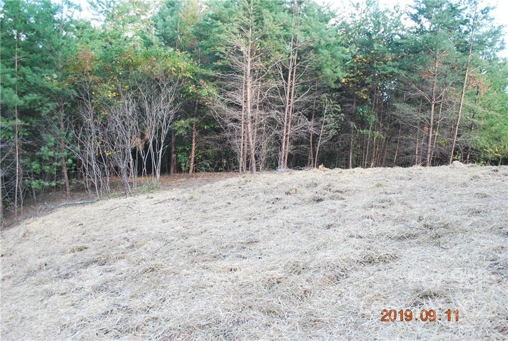 Lot at 675 Harborside Drive, Nebo, photo 9 of 29