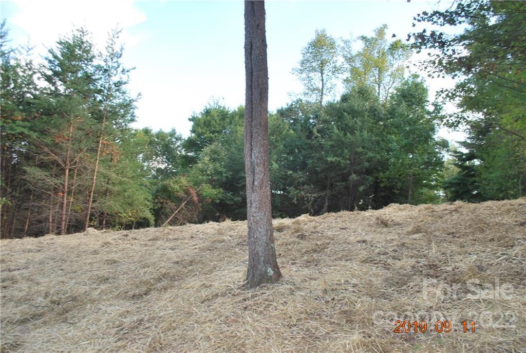 Lot at 675 Harborside Drive, Nebo, photo 10 of 29