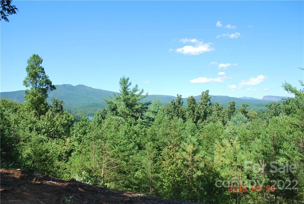 Lot at 675 Harborside Drive, Nebo, photo 13 of 29
