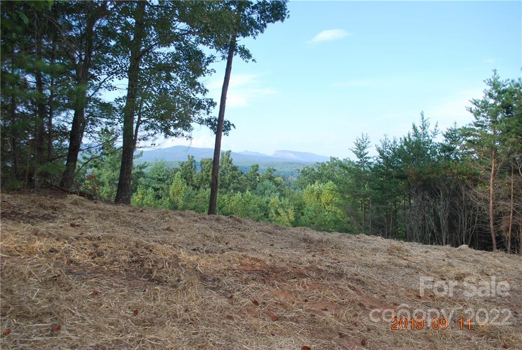 Lot at 675 Harborside Drive, Nebo, photo 17 of 29