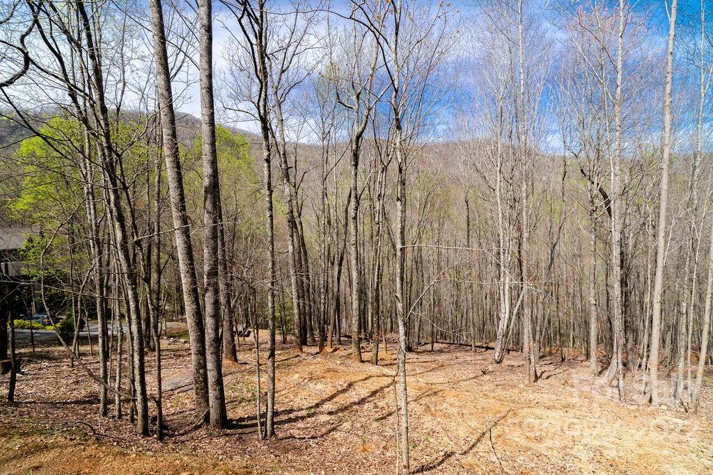 Lot at 808 Stoney Stream Lane, Arden, photo 4 of 9