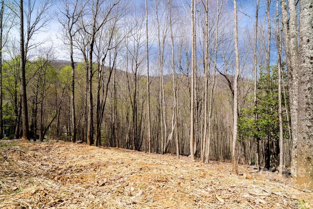 Lot at 808 Stoney Stream Lane, Arden, photo 5 of 9