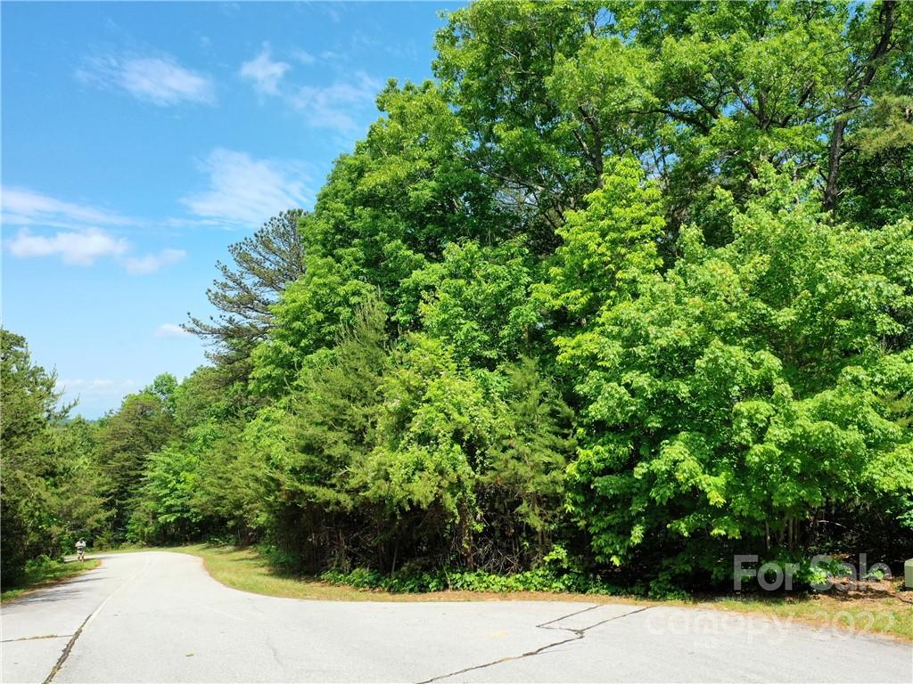 Lot at LOT 295 Eastman Place, Mill Spring, photo 5 of 12