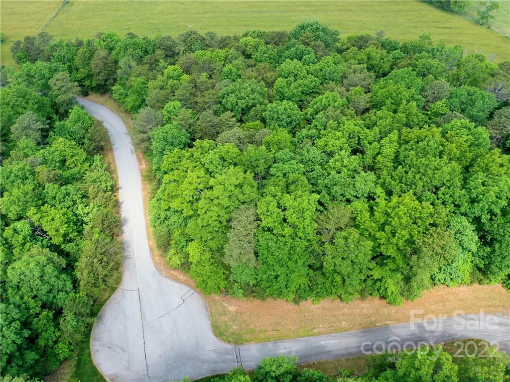 Lot at LOT 295 Eastman Place, Mill Spring, photo 6 of 12