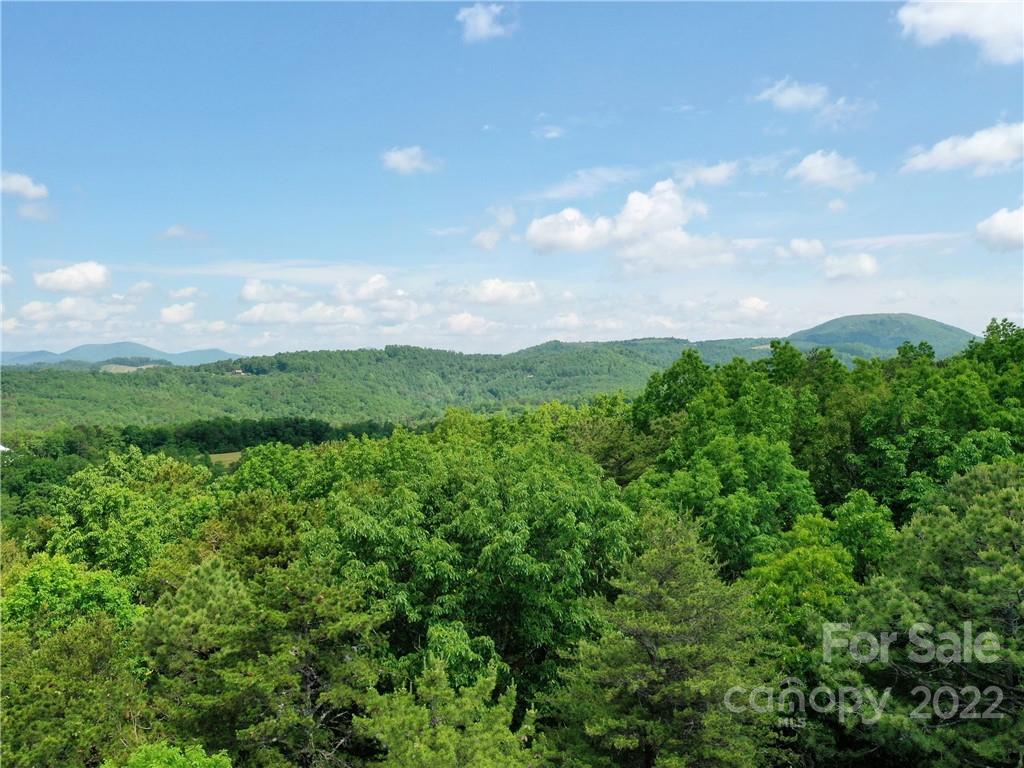 Lot at LOT 295 Eastman Place, Mill Spring, photo 7 of 12