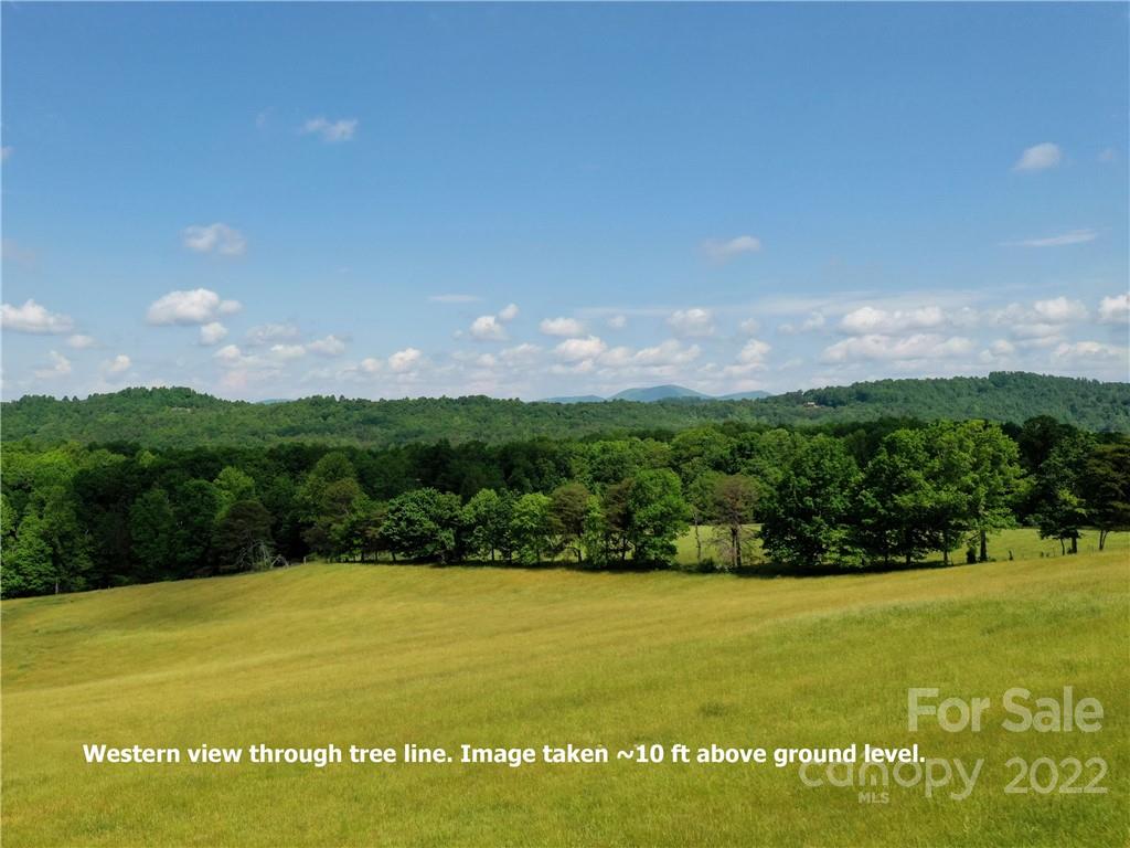 Lot at LOT 295 Eastman Place, Mill Spring, photo 9 of 12