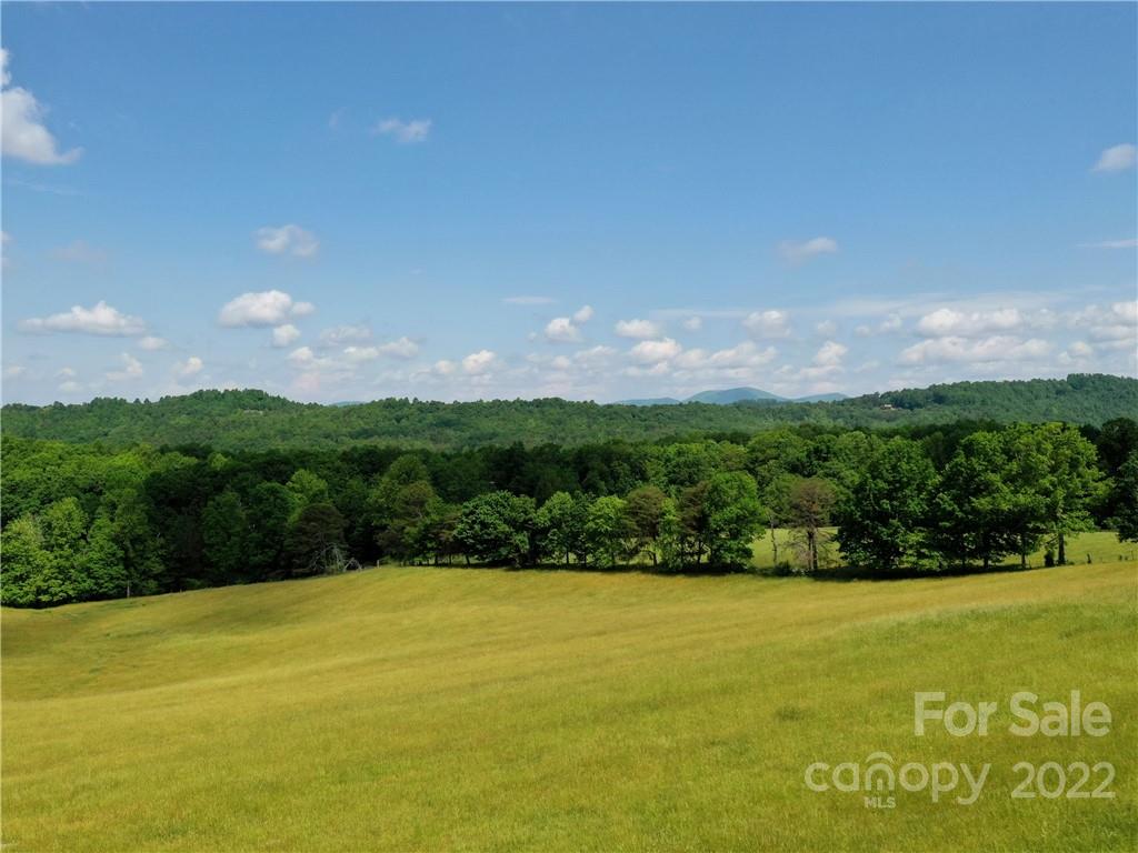 Lot at LOT 295 Eastman Place, Mill Spring, photo 10 of 12