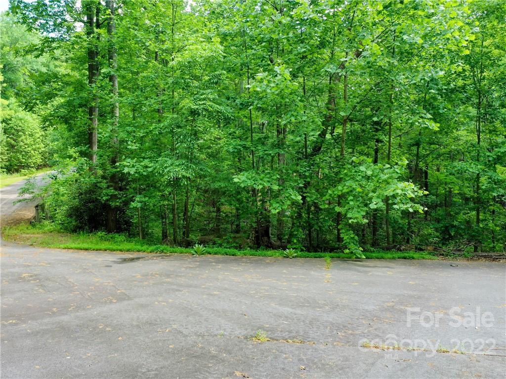 Lot at LOT 2072 Anthony Court, Mill Spring, photo 3 of 17