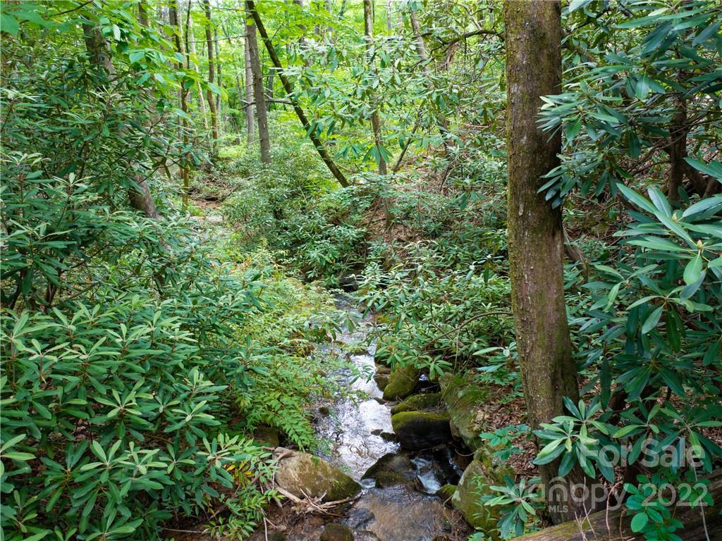 Lot at LOT 2072 Anthony Court, Mill Spring, photo 4 of 17