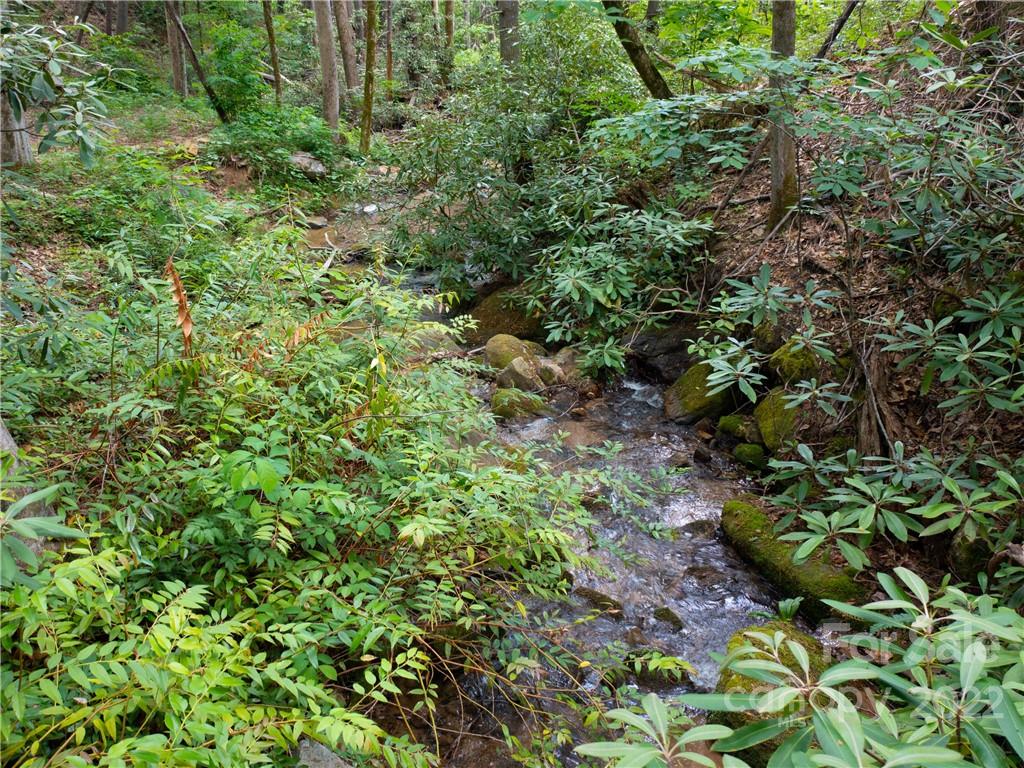 Lot at LOT 2072 Anthony Court, Mill Spring, photo 8 of 17