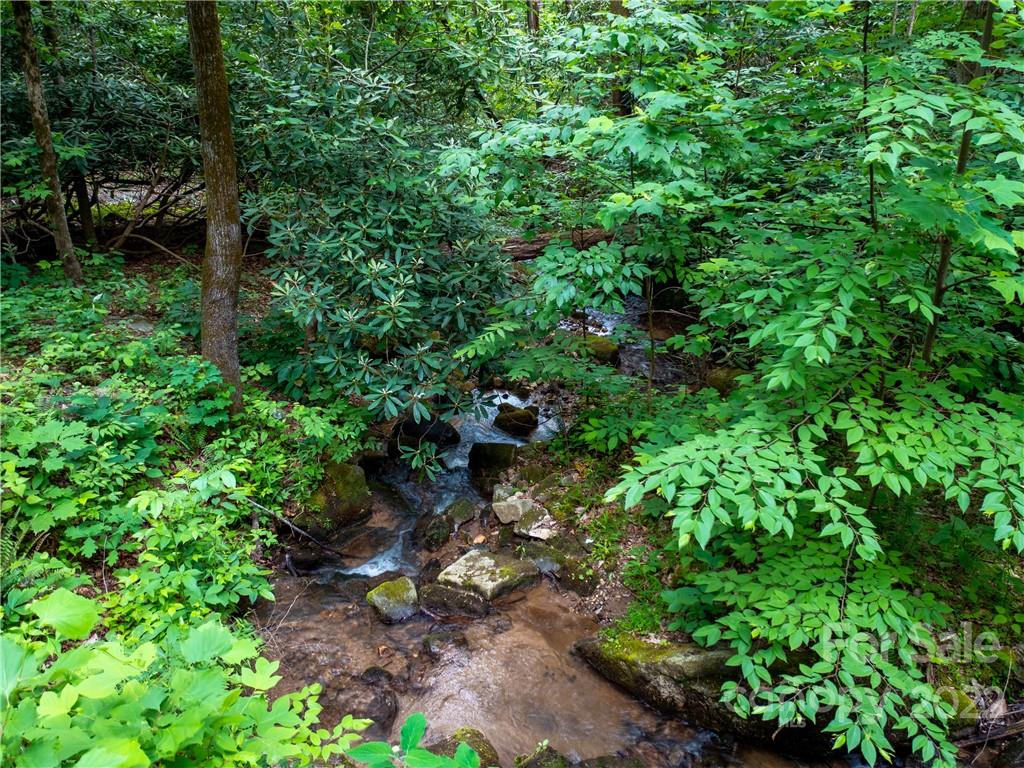 Lot at LOT 2072 Anthony Court, Mill Spring, photo 11 of 17