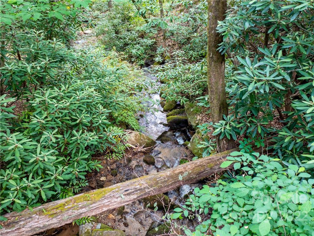 Lot at LOT 2072 Anthony Court, Mill Spring, photo 12 of 17