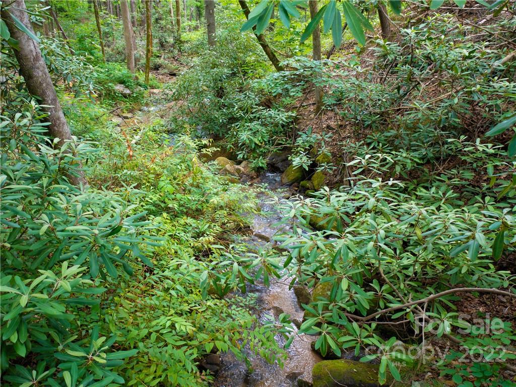 Lot at LOT 2072 Anthony Court, Mill Spring, photo 13 of 17