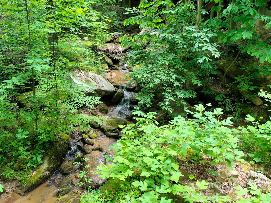 Lot at LOT 2072 Anthony Court, Mill Spring, photo 14 of 17
