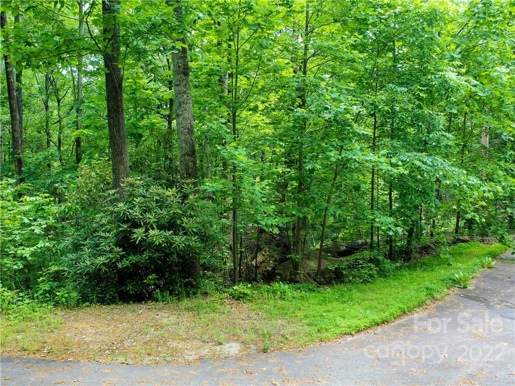 Lot at LOT 2072 Anthony Court, Mill Spring, photo 17 of 17