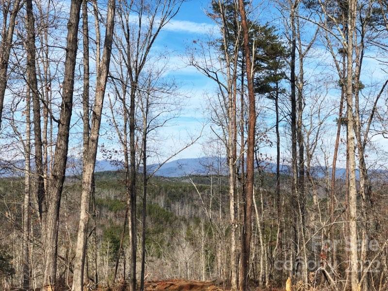 Acreage at 0 Hardin Store Road, Rutherfordton, photo 3 of 21