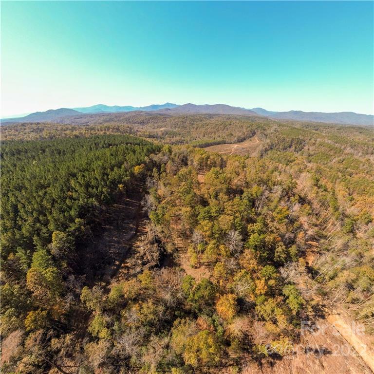 Acreage at 0 Hardin Store Road, Rutherfordton, photo 4 of 21