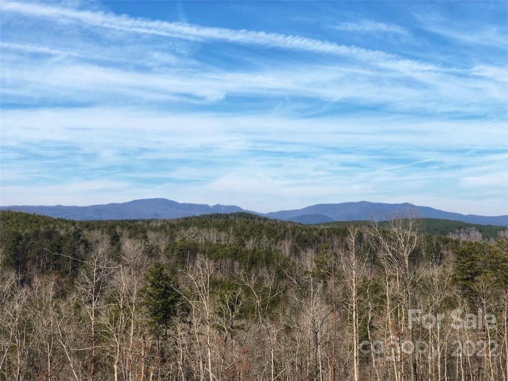 Acreage at 0 Hardin Store Road, Rutherfordton, photo 5 of 21