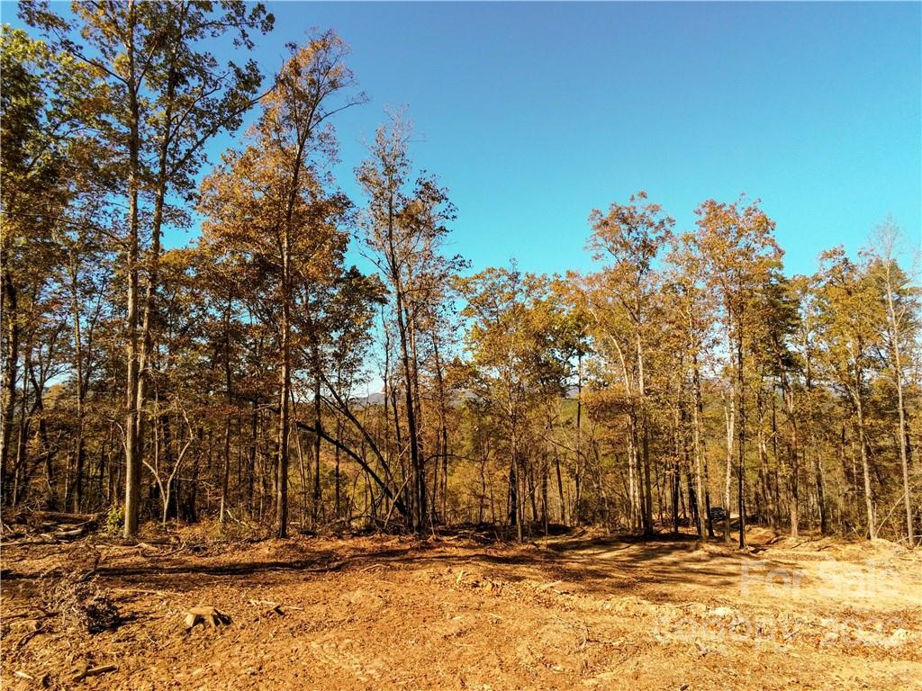 Acreage at 0 Hardin Store Road, Rutherfordton, photo 7 of 21