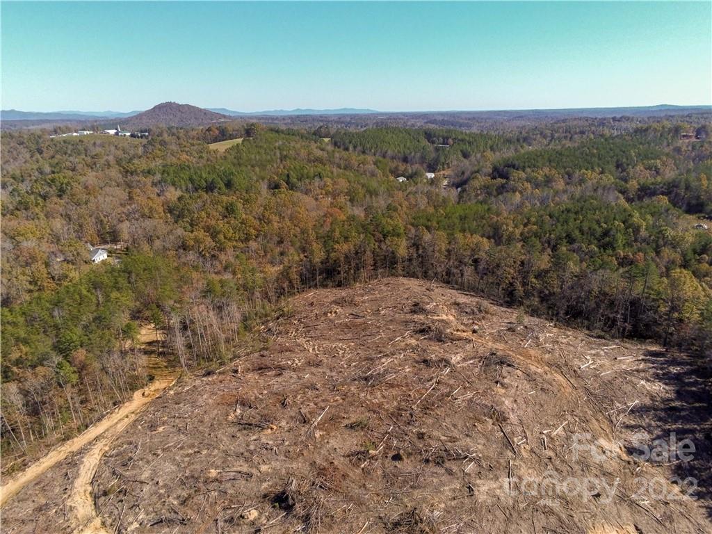 Acreage at 0 Hardin Store Road, Rutherfordton, photo 8 of 21