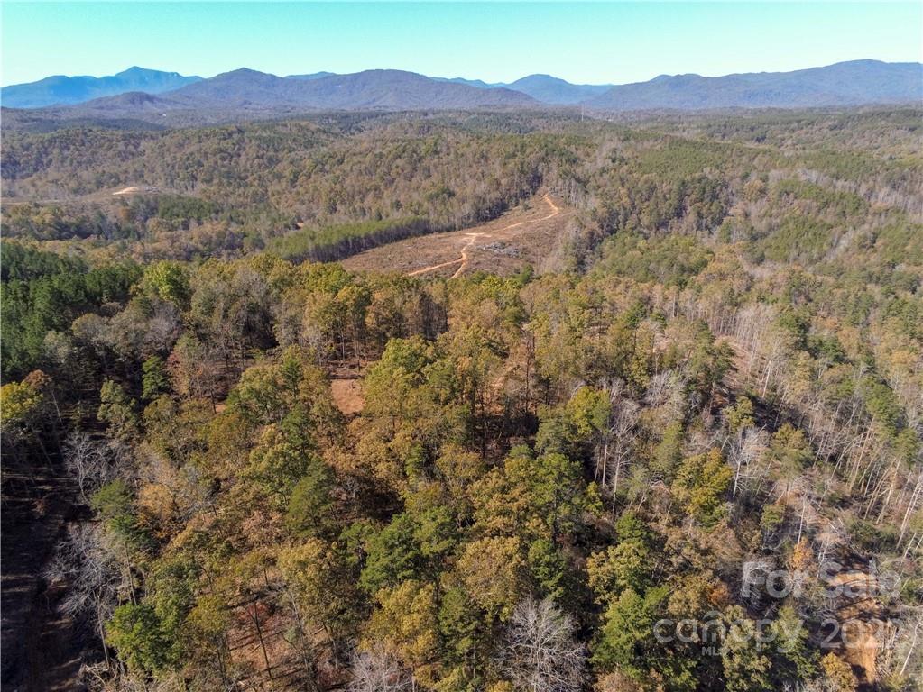 Acreage at 0 Hardin Store Road, Rutherfordton, photo 9 of 21