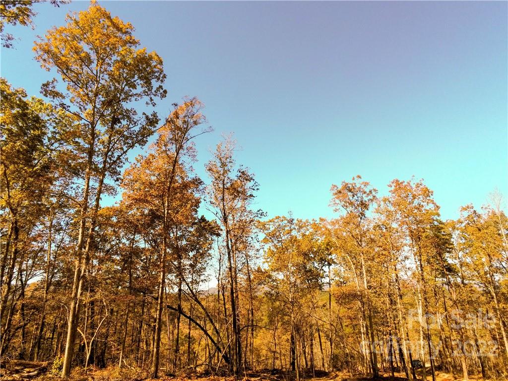 Acreage at 0 Hardin Store Road, Rutherfordton, photo 10 of 21