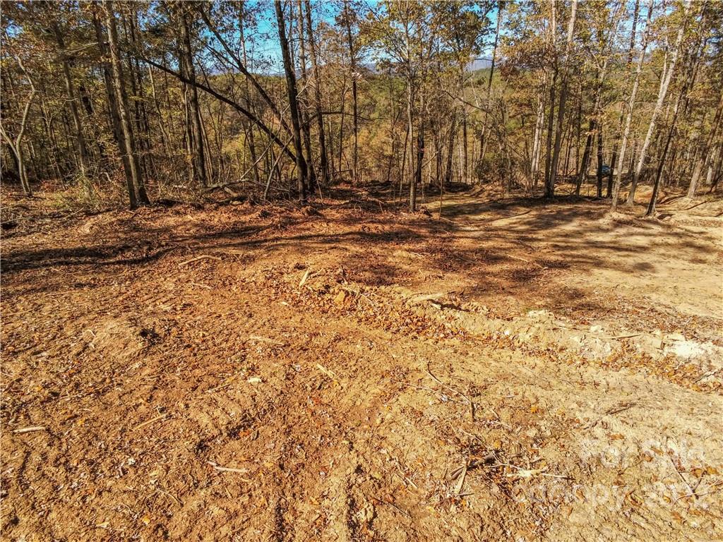 Acreage at 0 Hardin Store Road, Rutherfordton, photo 11 of 21