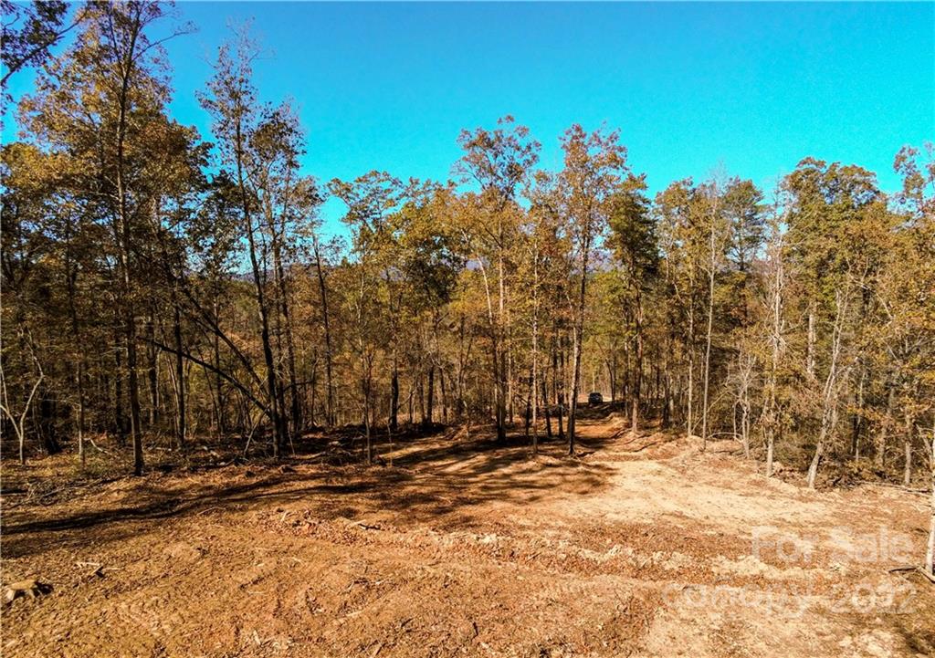 Acreage at 0 Hardin Store Road, Rutherfordton, photo 12 of 21
