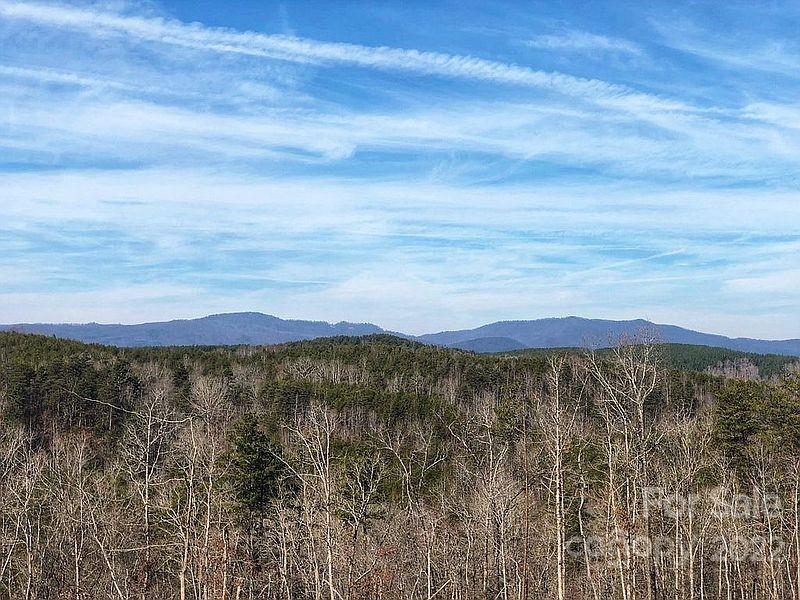 Acreage at 0 Hardin Store Road, Rutherfordton, photo 15 of 21