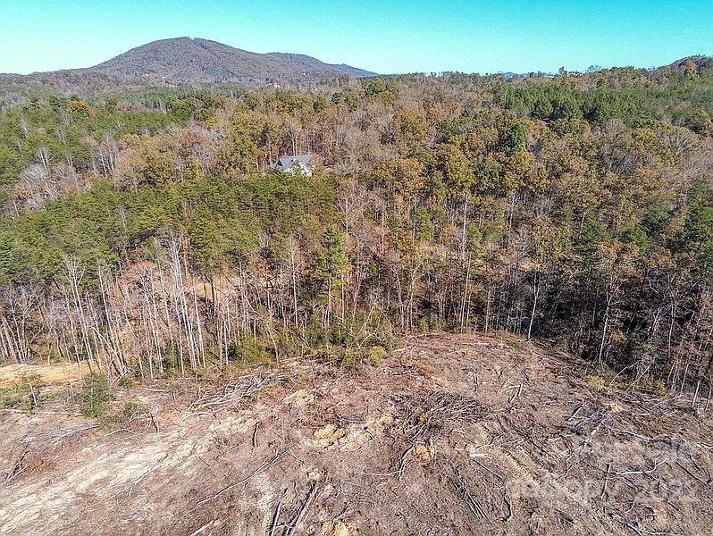 Acreage at 0 Hardin Store Road, Rutherfordton, photo 17 of 21
