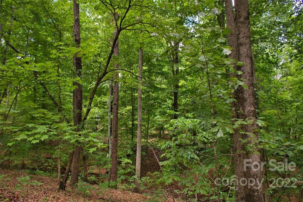 Lot at 0 Midnight Pass, Rutherfordton, photo 3 of 5