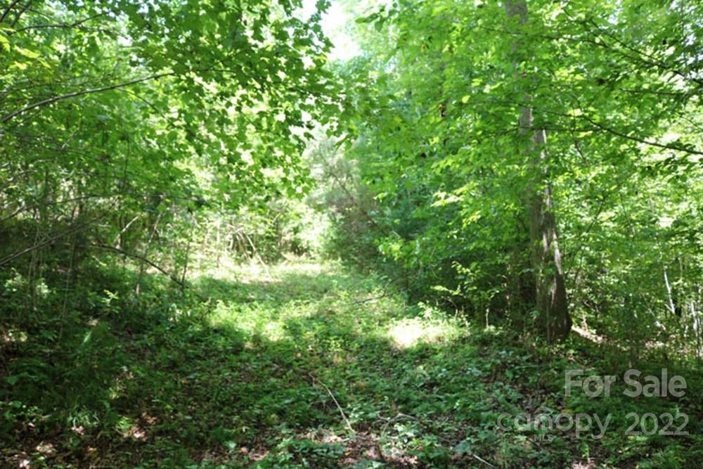 Lot at 0 Woodstock Lane, Rutherfordton, photo 2 of 3