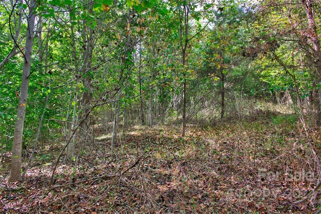 Lot at 0 Chimney Creek Lane, Rutherfordton, photo 4 of 4