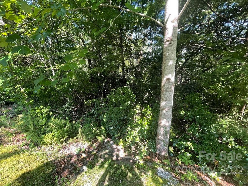 Lot at 99999 Pine Mountain Trail, Brevard, photo 3 of 17