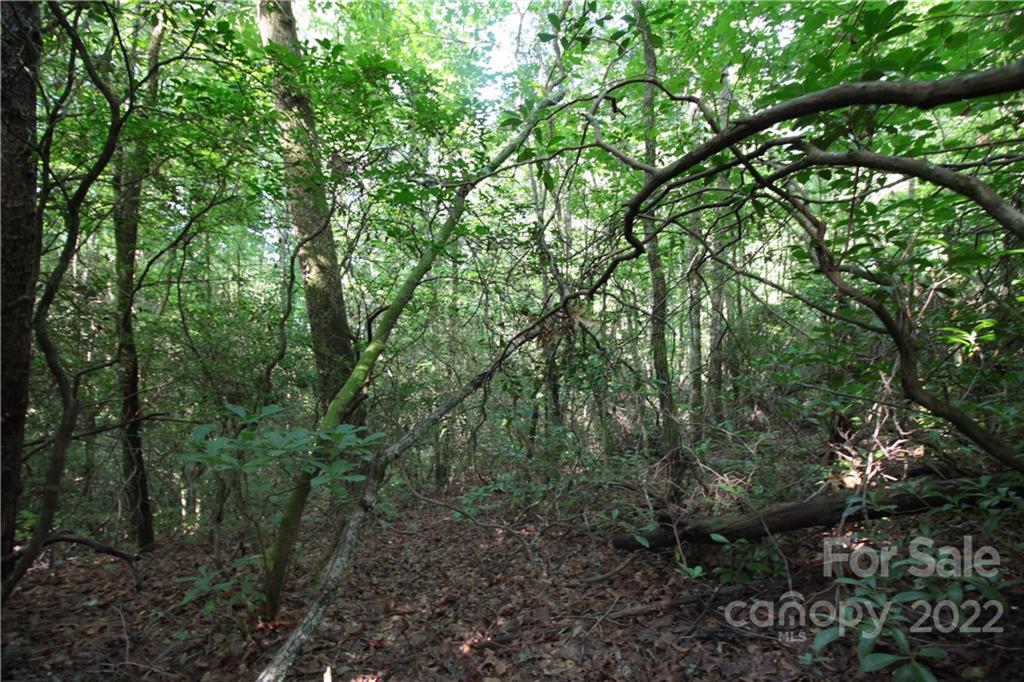 Lot at Lot 19 Gastons Bee Gum Road, Brevard, photo 2 of 19