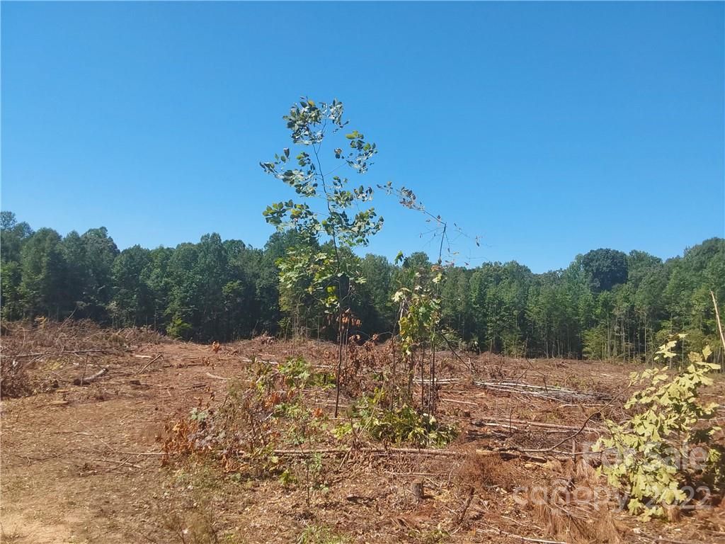 Acreage at 00 Requa Road, Cherryville, photo 5 of 10