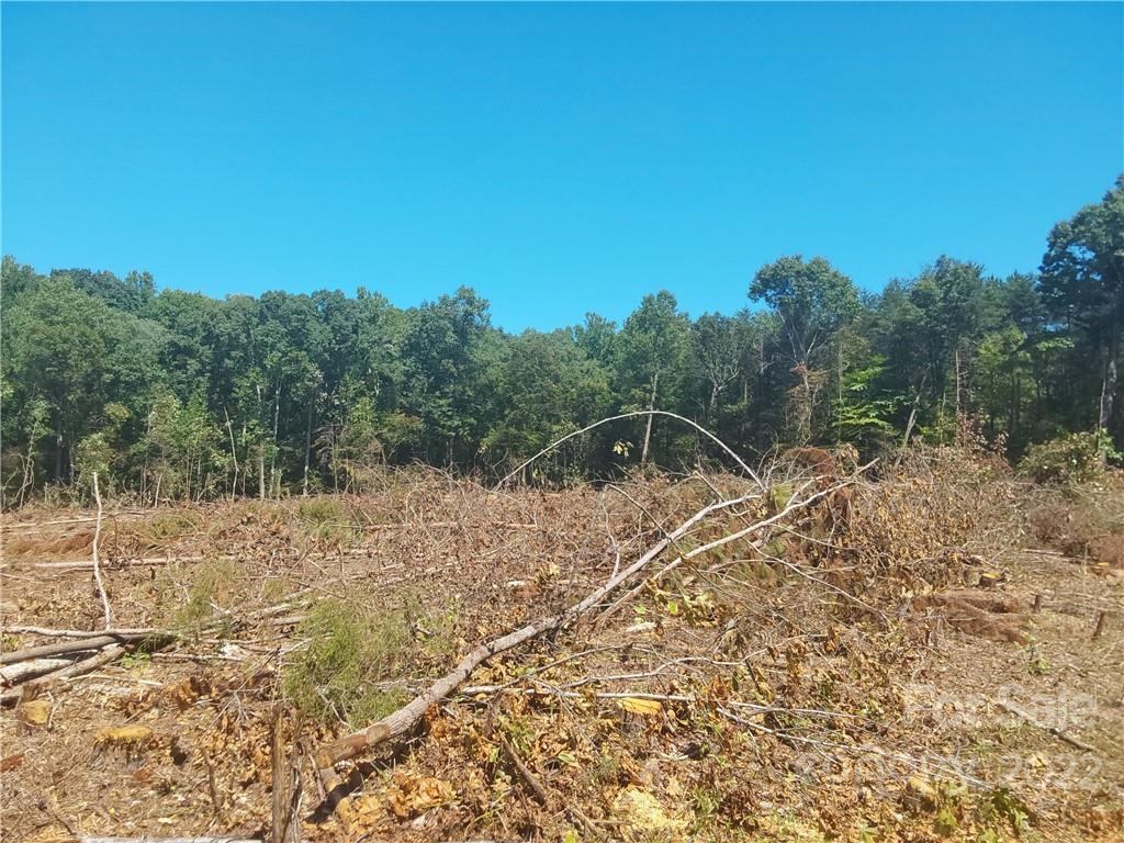Acreage at 00 Requa Road, Cherryville, photo 6 of 10