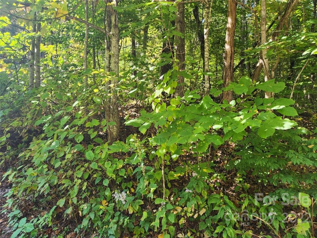 Lot at 00 Staymon Road, Waynesville, photo 2 of 5