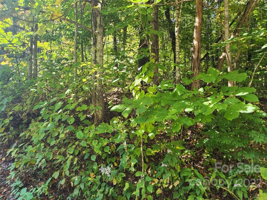 Lot at 00 Staymon Road, Waynesville, photo 3 of 5