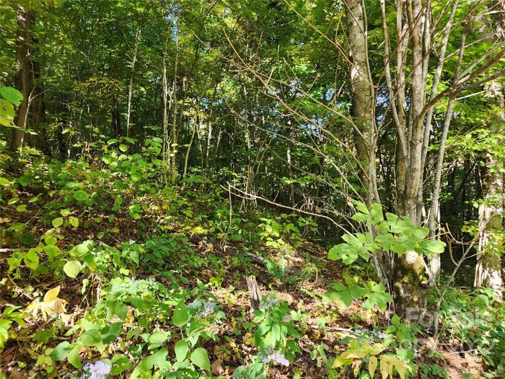 Lot at 00 Staymon Road, Waynesville, photo 5 of 5