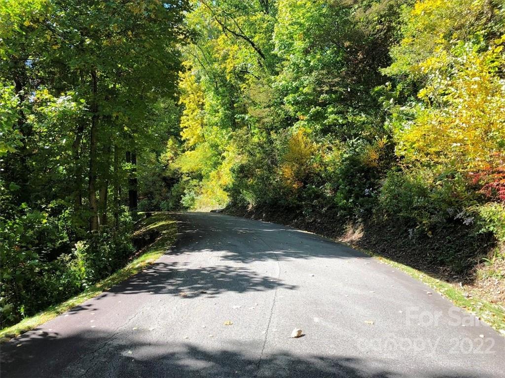 Road view - lot on the left - 30 Cadillac Pointe, Waynesville