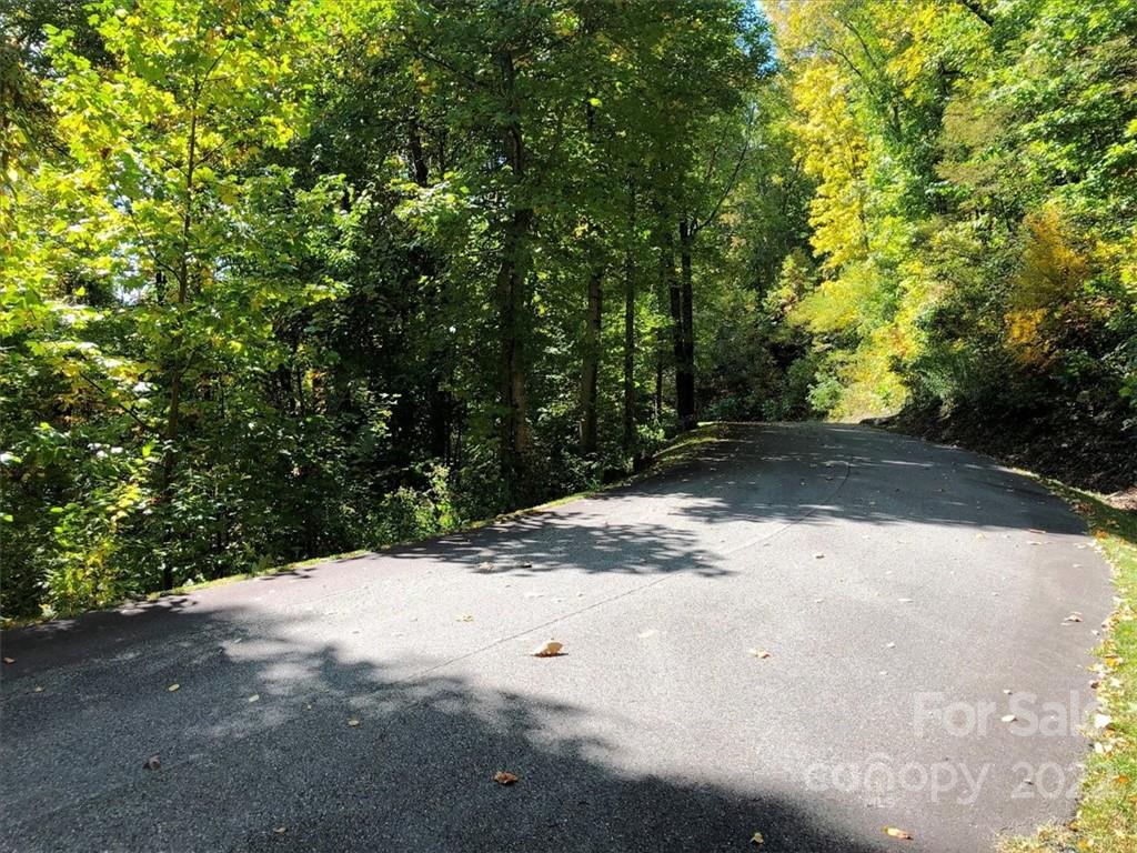 Lot at 30 Cadillac Pointe, Waynesville, photo 4 of 8