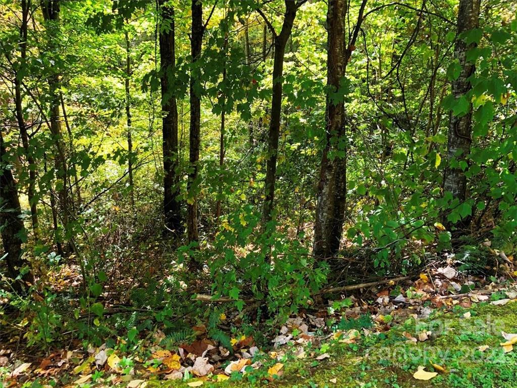 Lot at 30 Cadillac Pointe, Waynesville, photo 5 of 8