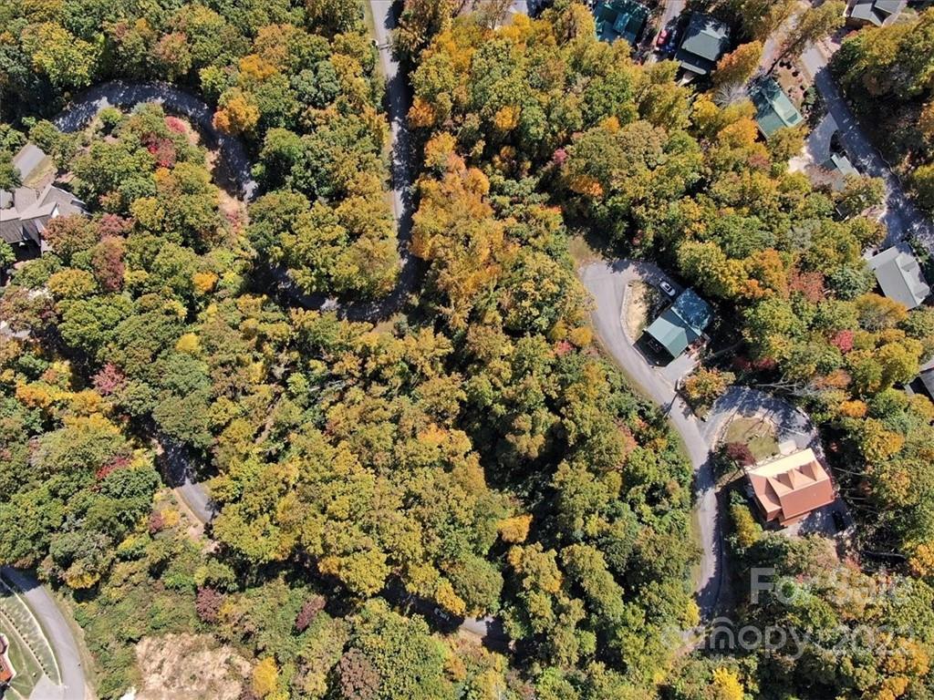 Birdseye View - 30 Cadillac Pointe, Waynesville