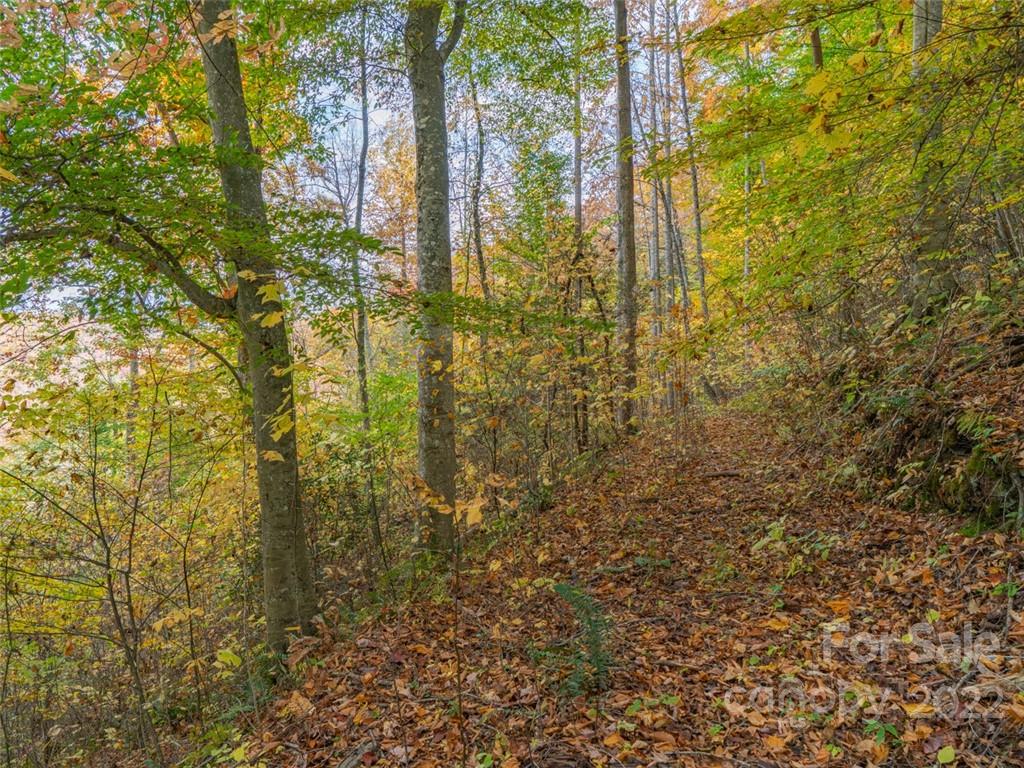 Acreage at 000 Drake Cove Road, Mars Hill, photo 11 of 33
