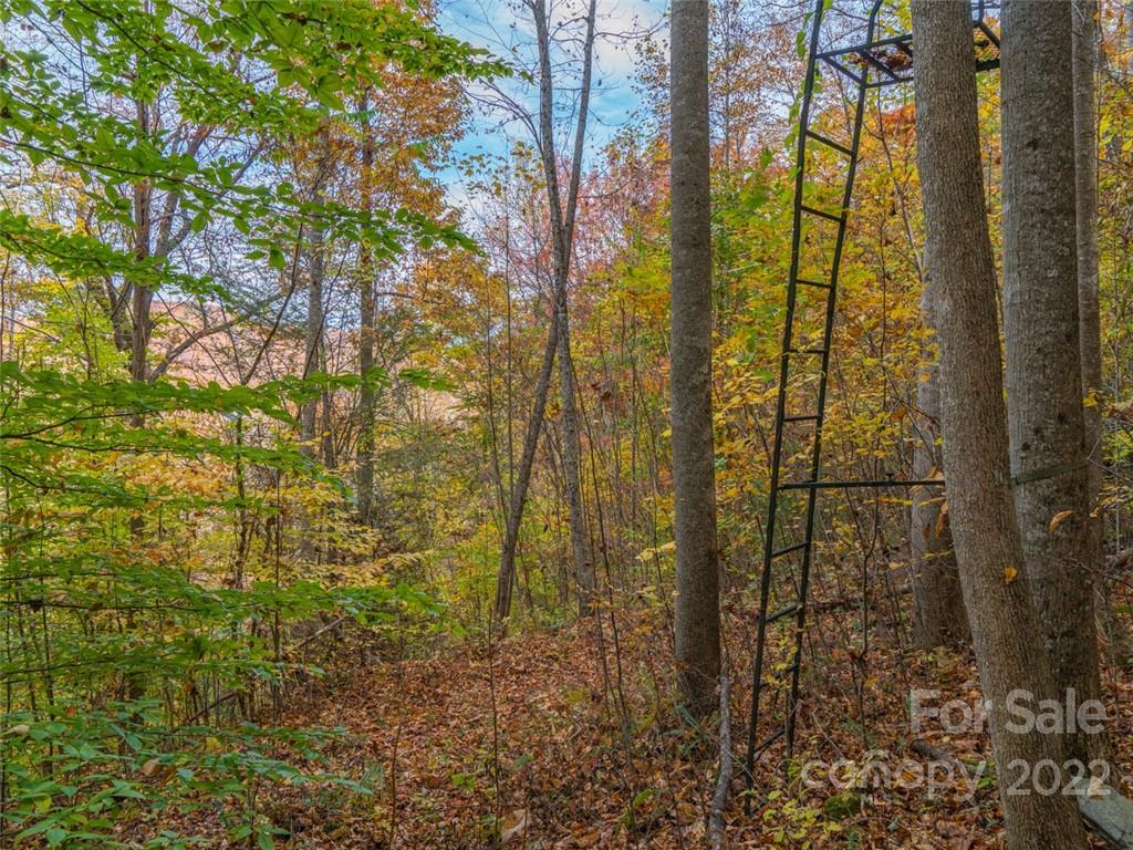 Acreage at 000 Drake Cove Road, Mars Hill, photo 12 of 33