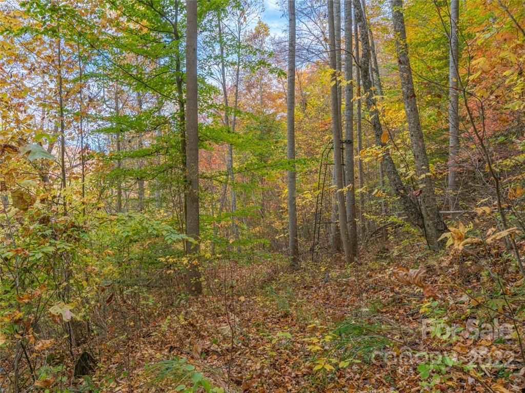 Acreage at 000 Drake Cove Road, Mars Hill, photo 13 of 33